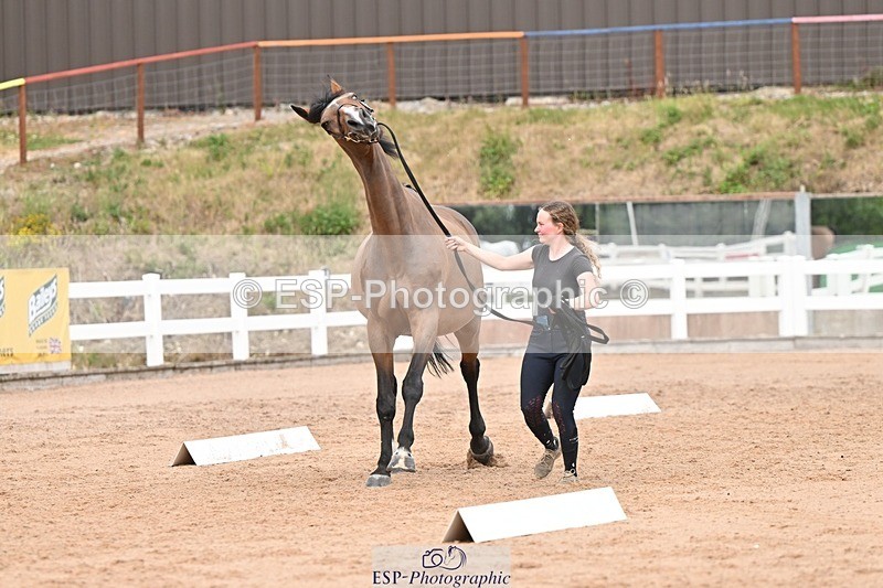 250716-161958-02570 - Trot Up 3.30 to 4.30