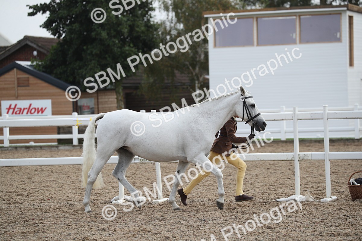 SBM_23081 - Class 605 - 2025 Area - IH Veteran