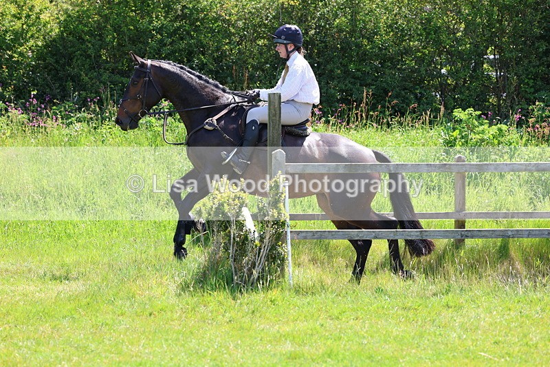 3E7A7062 - Class 30: Novice Working Hunter