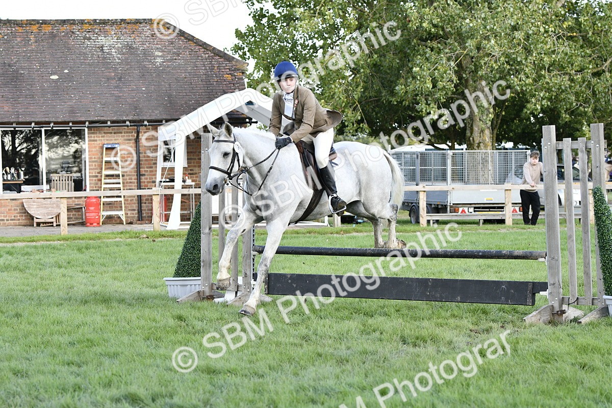 SBM_52141 - S35 - Working Hunter & Working Show Horse