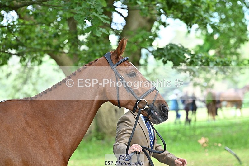 250521A-153038-00555 - B-315-Tom.McEwen-SHANNONDALE.ARNOLD