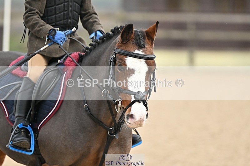 241110-102900-00316 - 40cm Showjumping