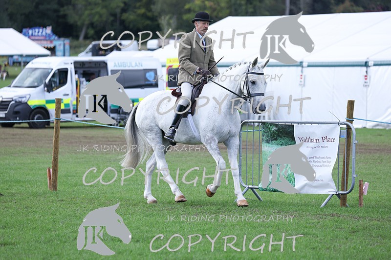 APP_4156 - Class 15a/b Pony club pony/Riding club horse