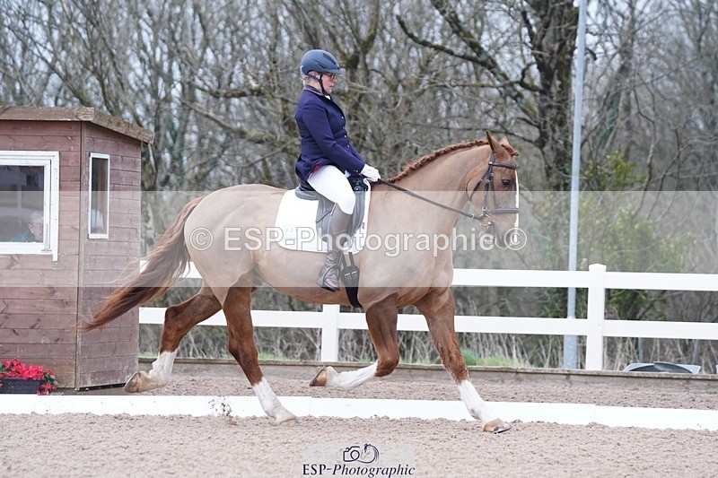 250214-102240-00125 - 224-Jill.McFarland-Adoon.Punchbowl