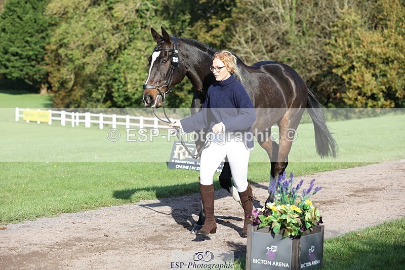 241027-094505-15485 - 365-Charlotte.Cutler-HOLY.STREET