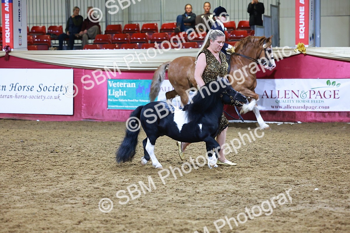 SBM_15242 - Class P - M&M Champ