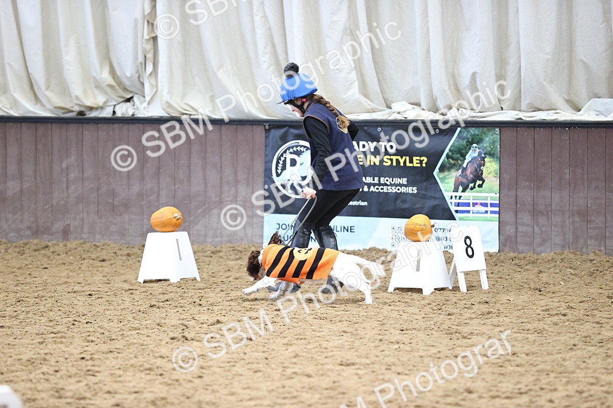 SBM_001209 - Class 3 - Horse & Hound 60cm
