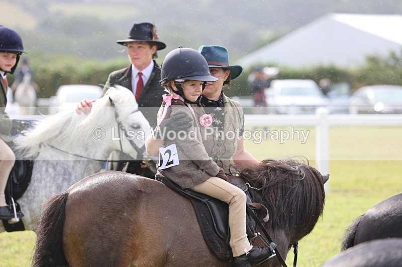 JPP_0392 - Class 14: Cornish Combination Leading Rein