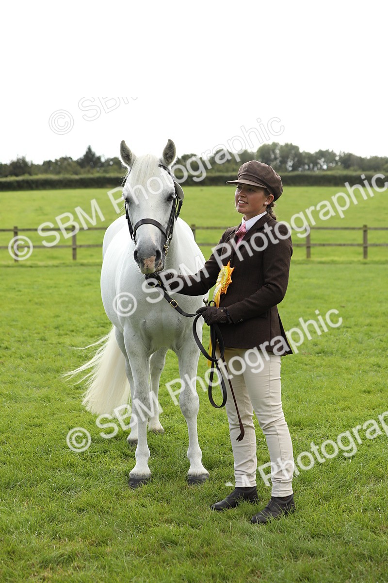 SBM_65546 - S47 - Mountain & Moorland In Hand Large Breeds