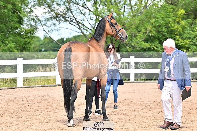 240718A-105247-01150 - Trot Up 12pm to 1pm