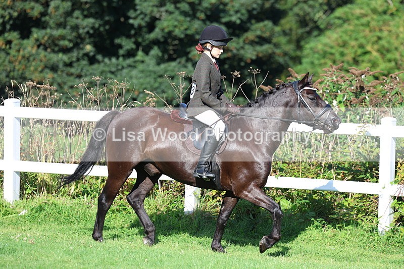 3E7A7569 - Class 1: Novice Working Hunter Pony