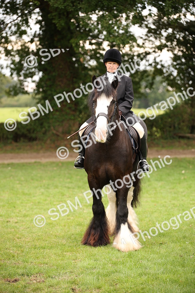 SBM_73461 - S68 - Traditional Cob Ridden