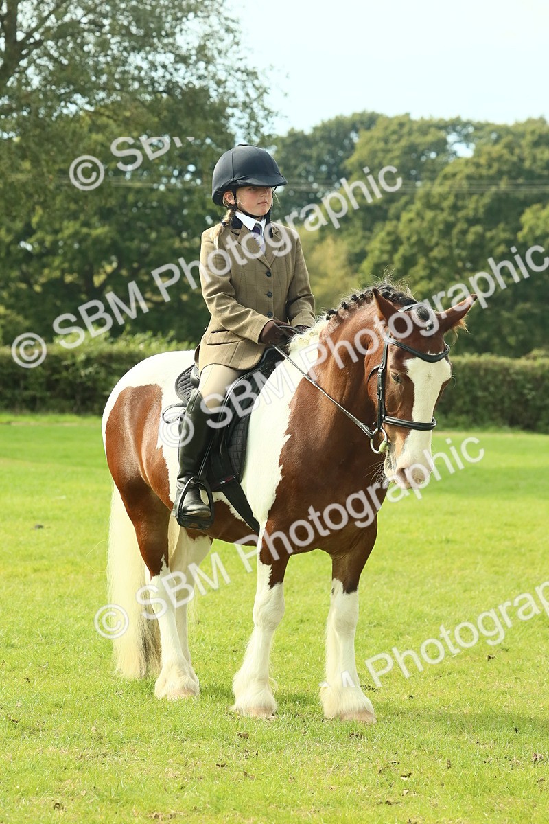 SBM_69367 - S58 - Mini Show Cob Ridden
