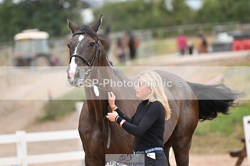 250716-160115-02349 - Trot Up 3.30 to 4.30