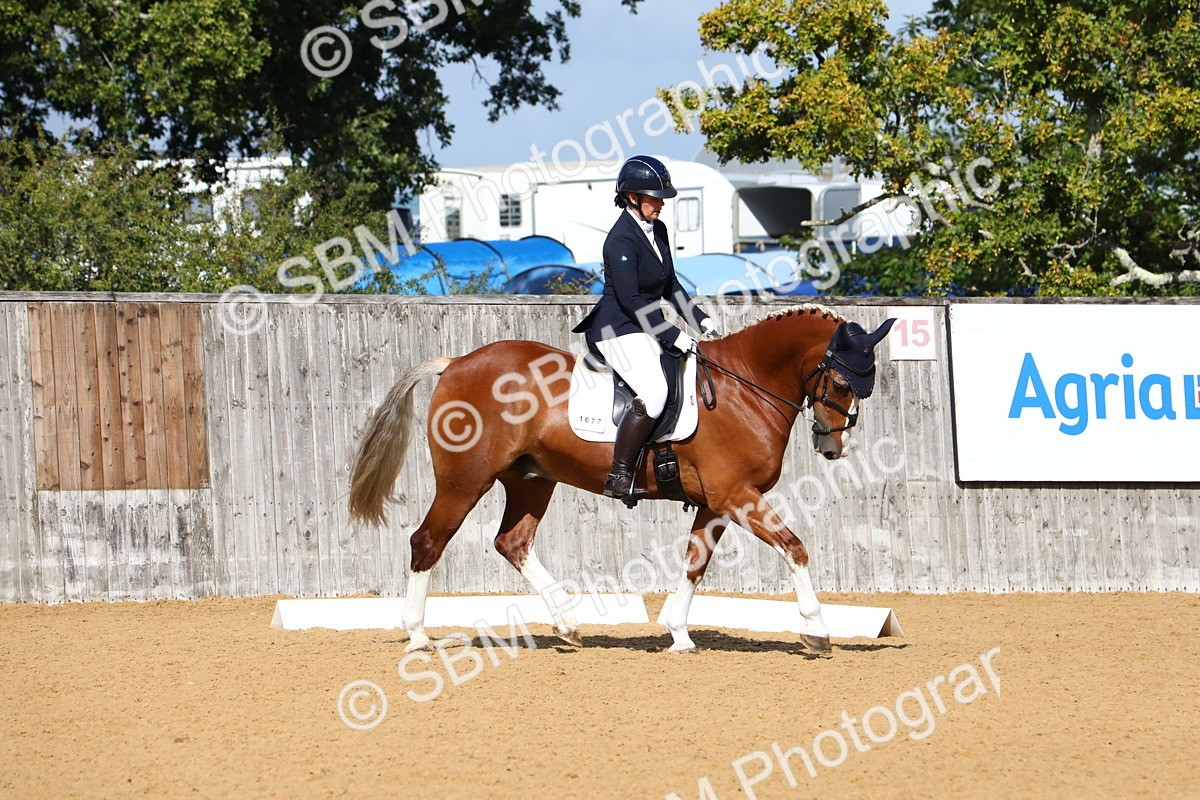 SBM_18294 - D31 - Grand Tour PYO Open .