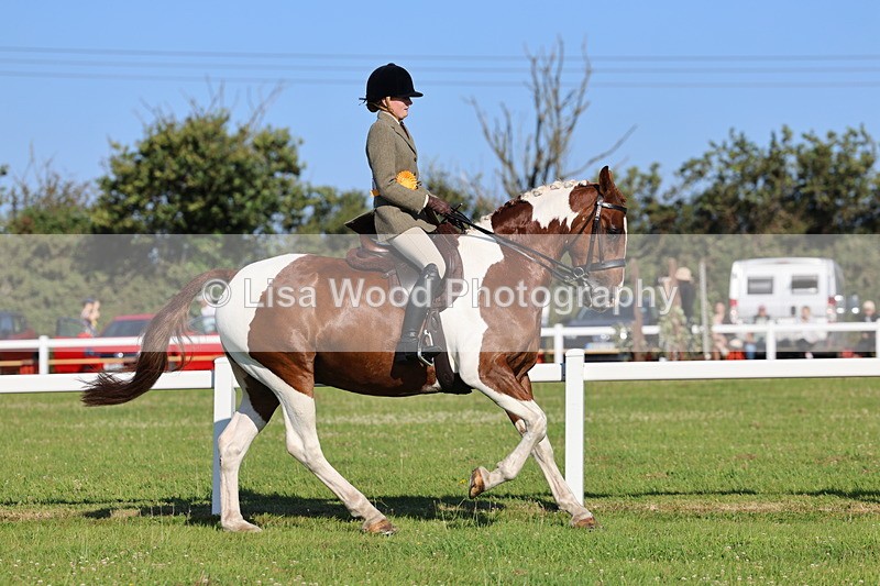 IMG_1358 - Class 27: Ridden Plaited Coloured Horse