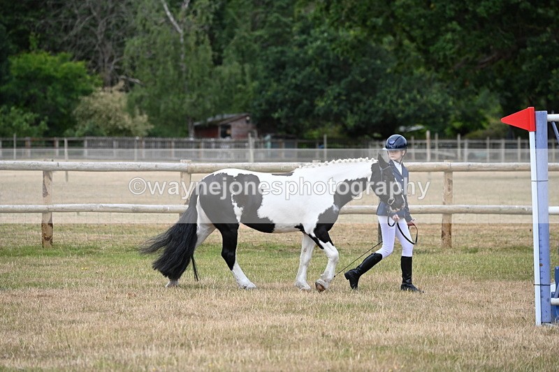 WJ6_4179 - Class 10 Coloured In-hand