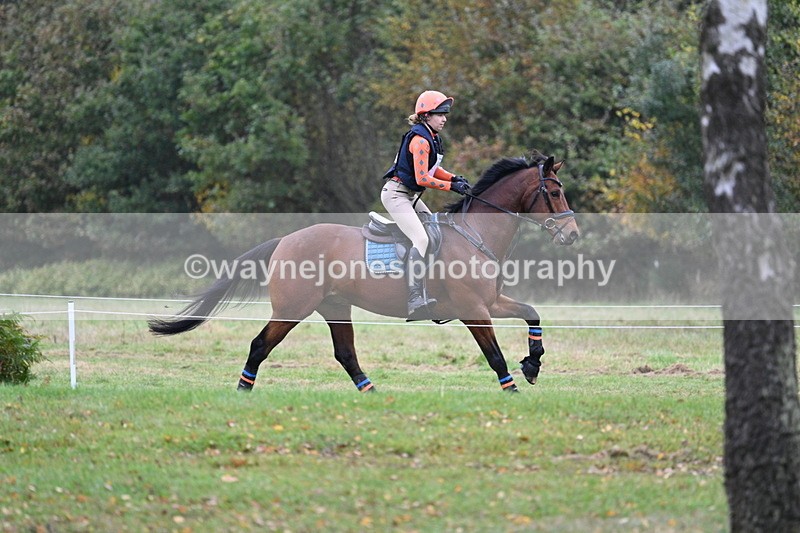 WJ7_1663 - 80cm Cam 2 Water Time 11:47 to 12:17