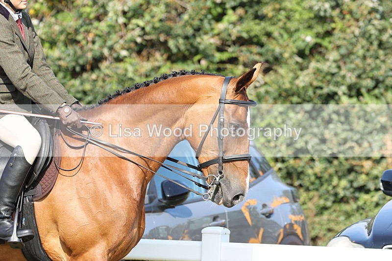 JPP_0611 - Class 16: Cornish Combination Young Rider