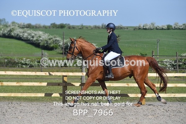 BPP_7966 - CLASS 2 Club/ Unaffiliated 80cms Open