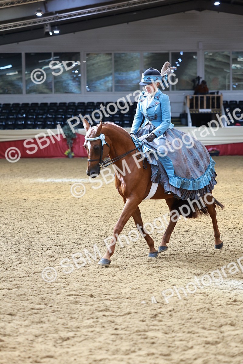 SBM_13756 - Class 106 - Ridden Costume -Astride Adult (15-19)