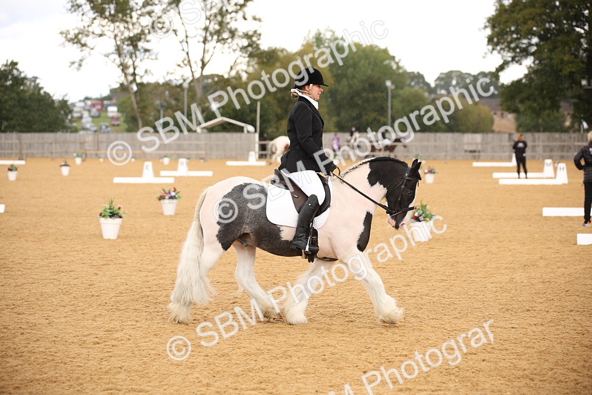 SBM_08923 - D8 Small Tour Championship Prelim 7
