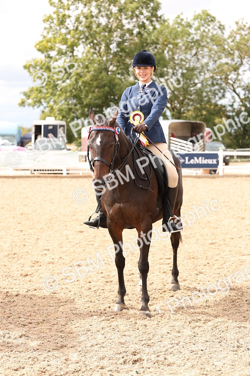 SBM_17381 - Class 214 - Ridden Hack Riding Horse