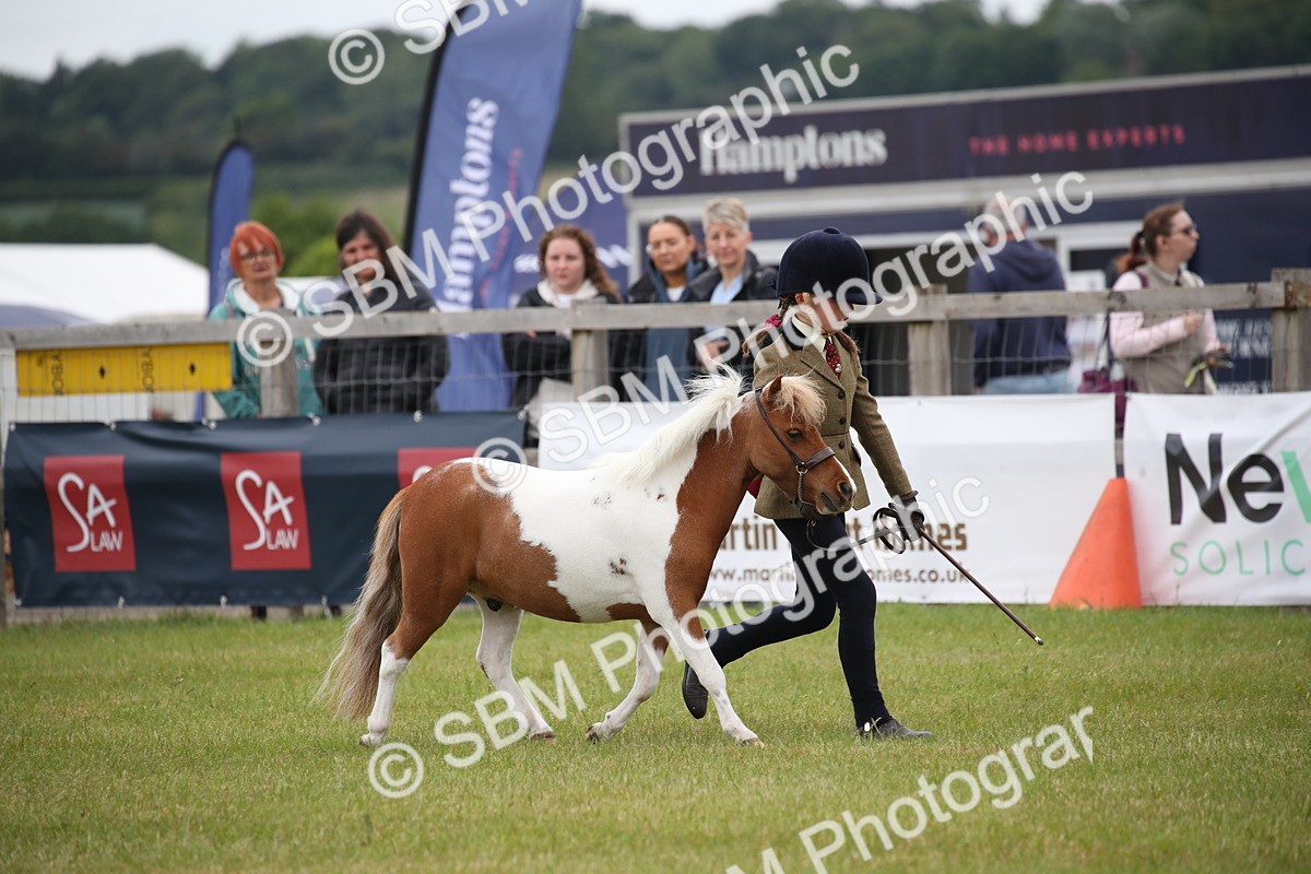 SBM_03881 - Class 23-25 - British Miniature Horse of the Year