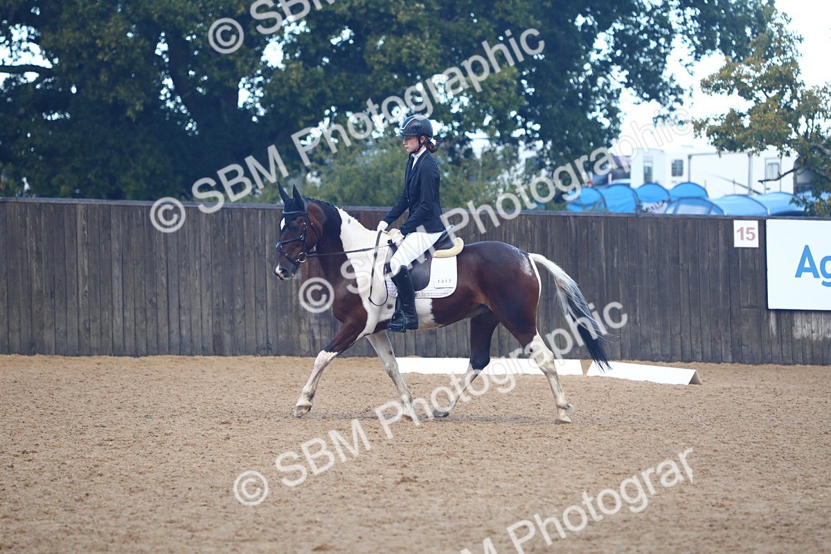 SBM_38882 - D21 - Junior Championship Intro 1