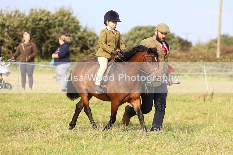 3E7A3636 - Class 2: Lead rein