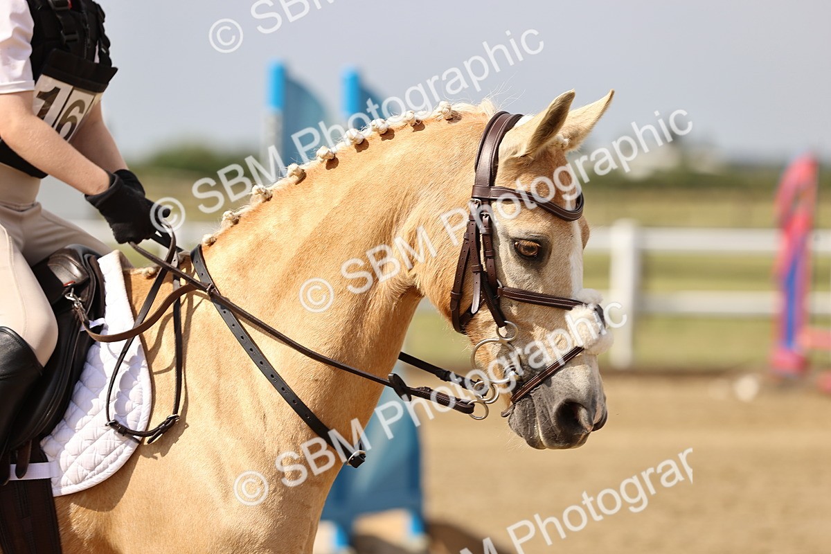 SBM_001460 - Class 1 - 40cm