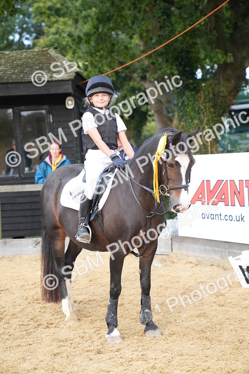 SBM_74946 - J4 - Mini Tour Junior Pony 45cm Championship