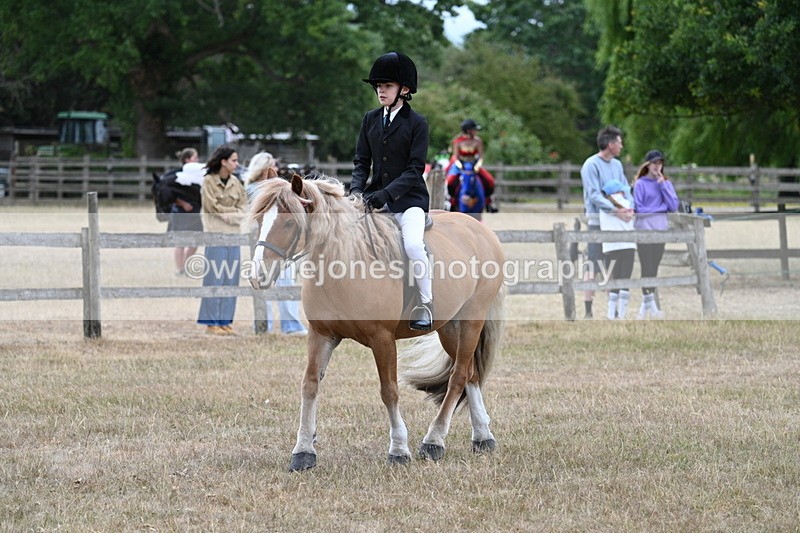 WJ7_7188 - Class 2 Best Rider