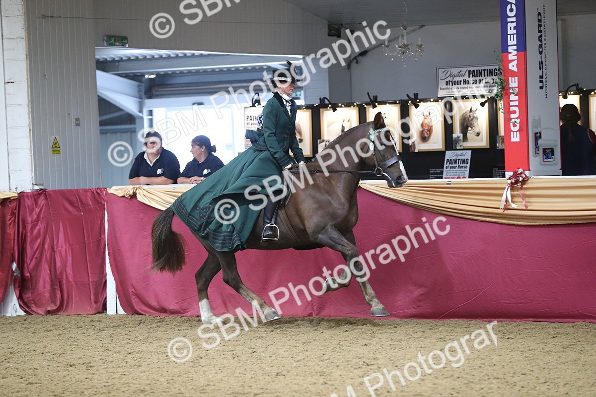 SBM_12132 - Class 107 Ridden Costume- Astride Adult (20+)