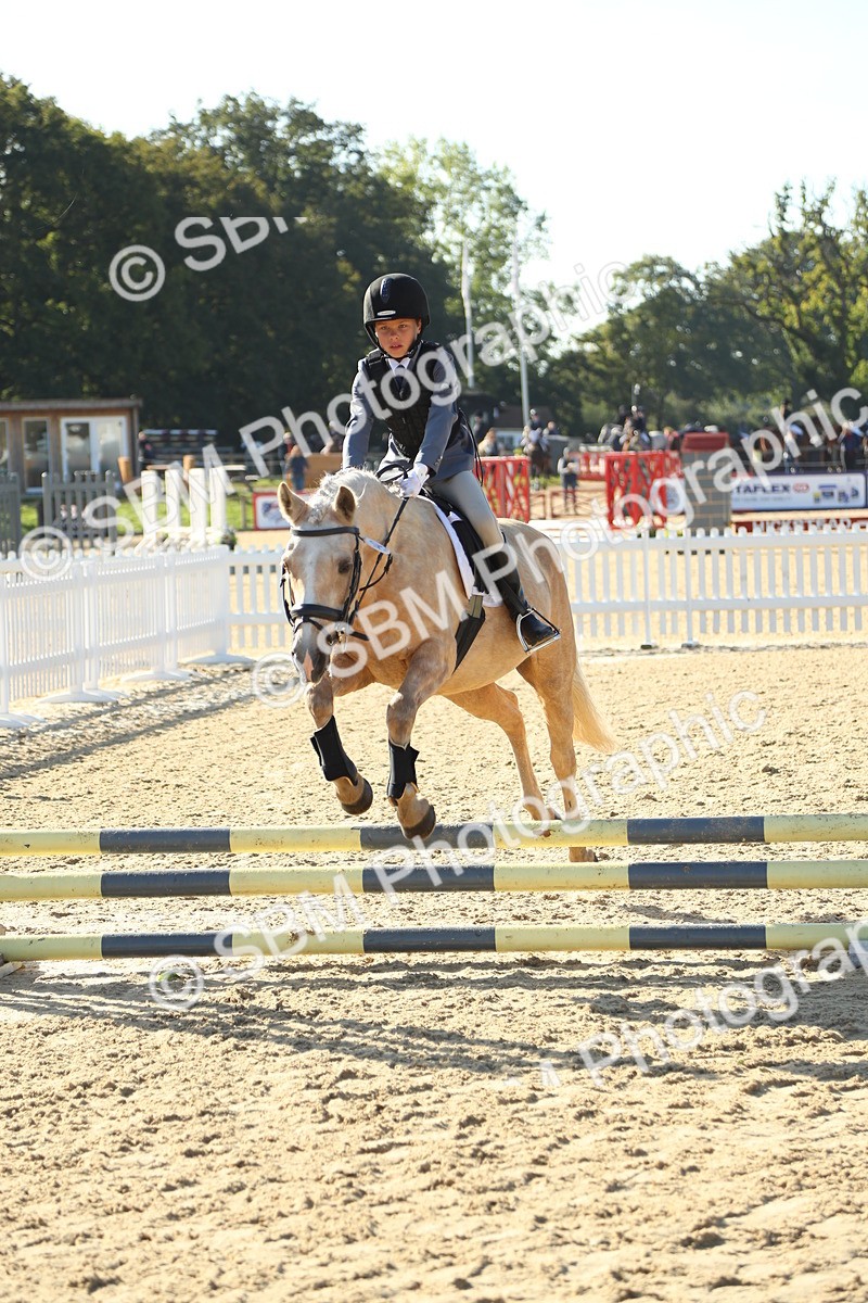 SBM_35871 - J5 - Junior Pony 50cm Championship