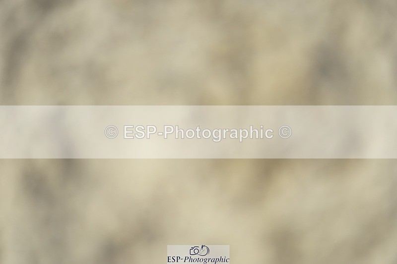 230909-125642-05860 - Cls 17 Snr 1.05m Open