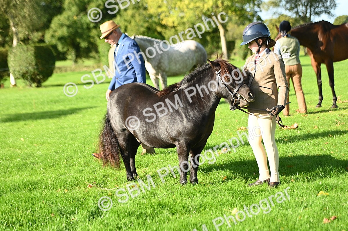 SBM_14752 - S1 - TSR in Hand Horse & Pony Showing