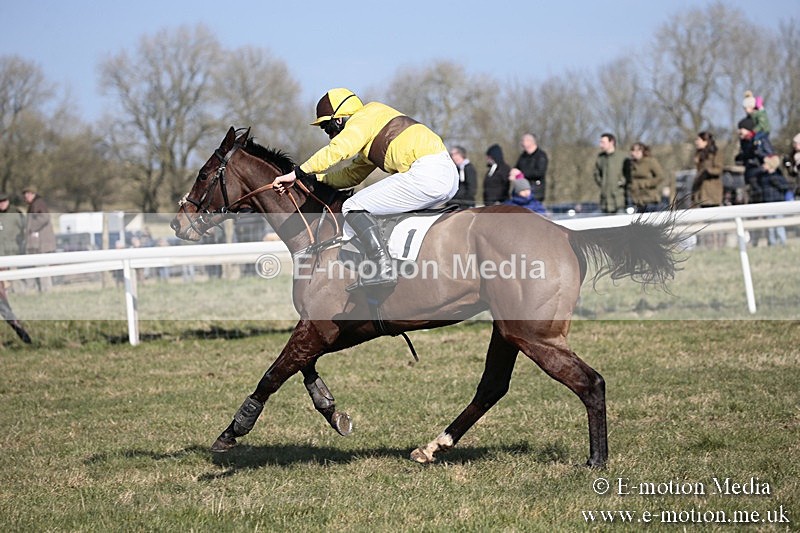 PtP 240218 177 - Vine & Craven Hunt Point-to-Point Barbury racecourse 24/02/18