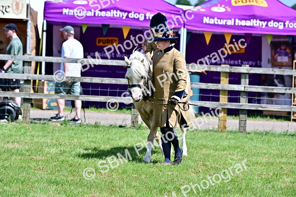 SBM_05935 - Class 59-60 - TSR M&M  Lear Rein and First Ridden Amateur of the year