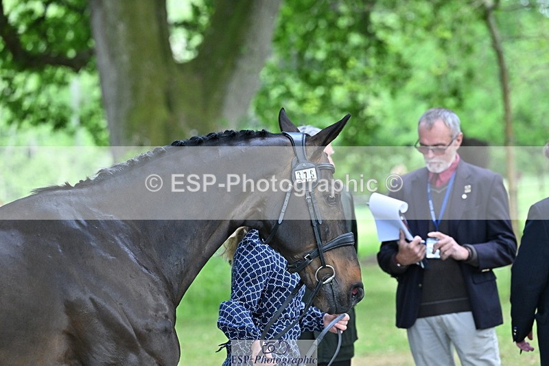 250521A-155307-00822 - B-376-Lucy.Robinson-BELLINE.SECOND.CHANCE