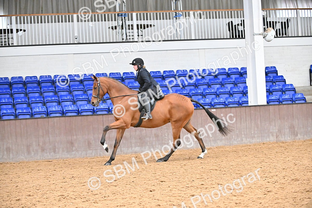 SBM_001949 - Class 25 - Tattersalls ROR Amateur Ridden