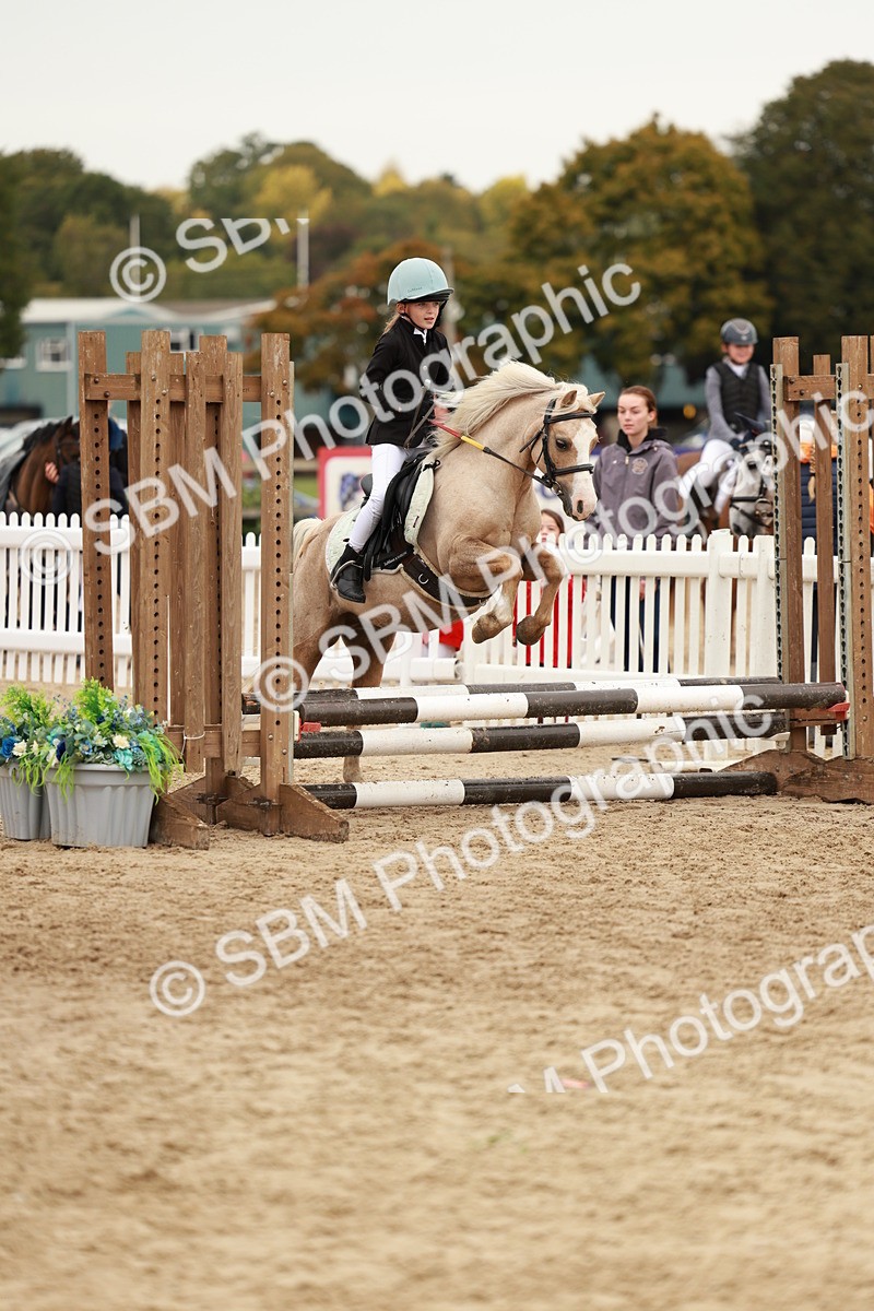 SBM_57914 - J11 - Junior Pony 50cm Championship