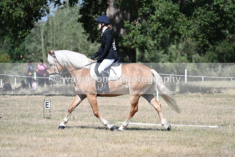 WJ7_0313 - Time 11:33 to 11:44