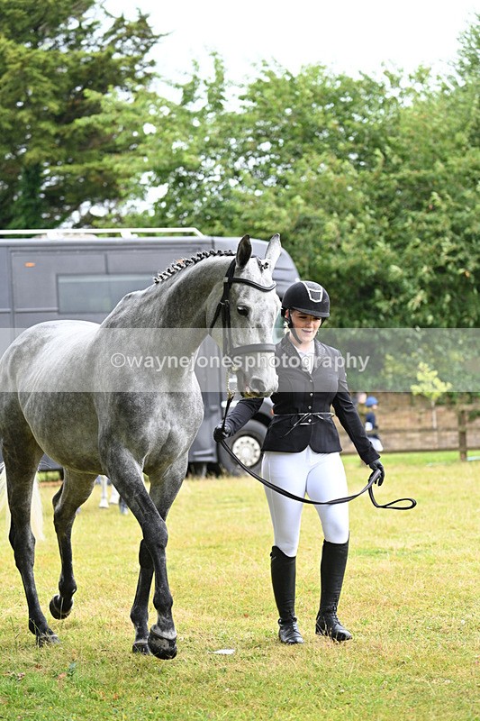 WJ7_6120 - Class 4a Prettiest Mare over 14hh