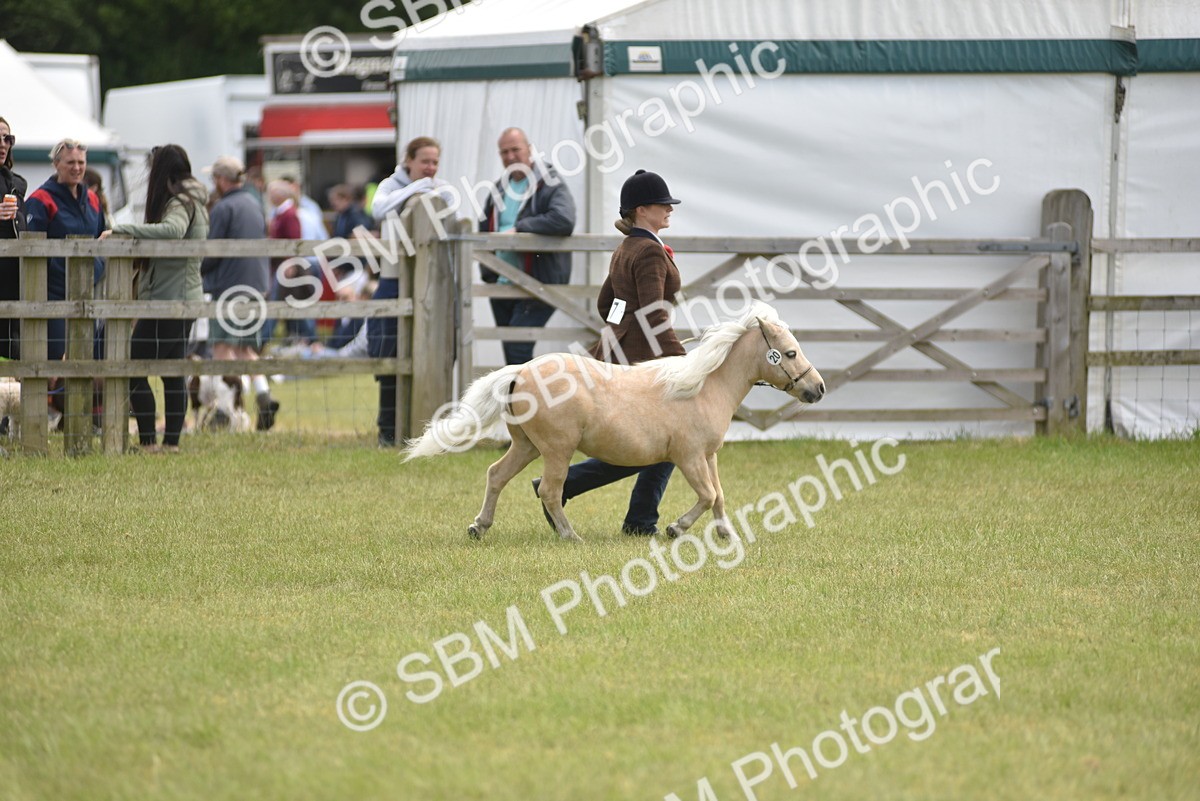 SBM_16056 - Class 117-122 - SSADL RIHS Qualifier