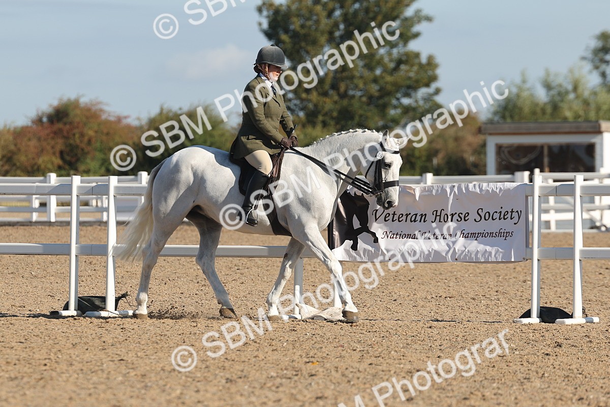 SBM_12202 - Class 303 - Ridden Pure Bred Horse Pony