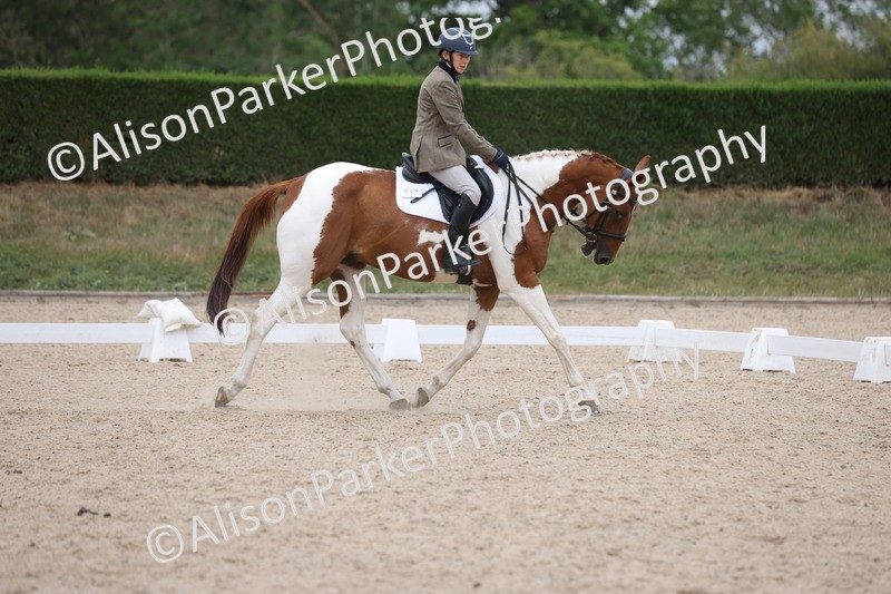 20250705-0403 - Class 5 - Novice 2