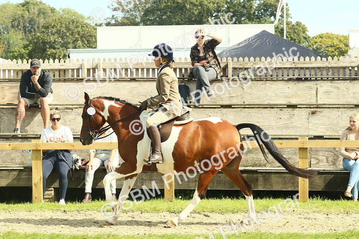 SBM_67510 - S56 - Coloured Pony Ridden