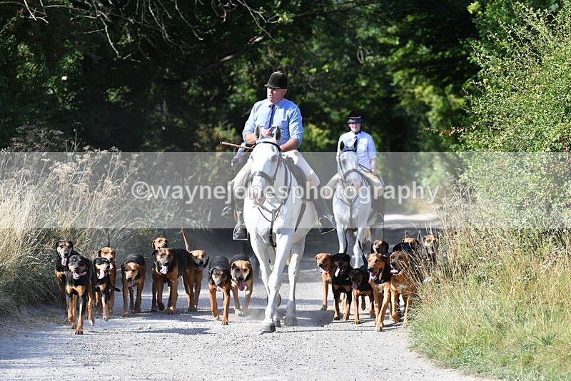 WJ5_4785 - Walk out with the hounds