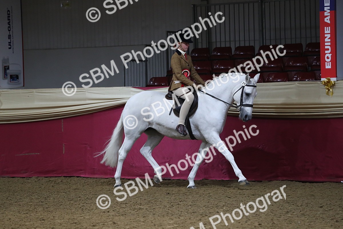 SBM_09370 - Class 101 Equitation (best rider), Junior